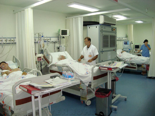 Reanimasiya
